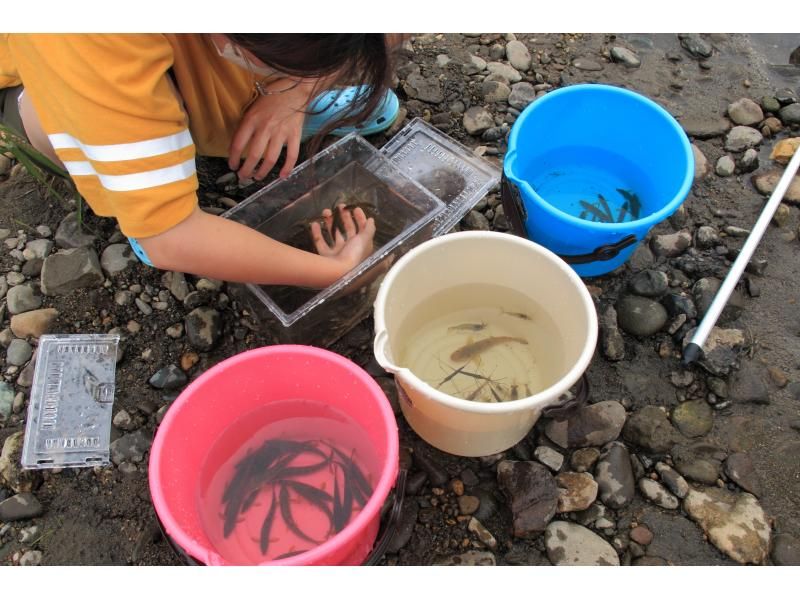 [Kitahiroshima City] Recommended for families: Experience rustling in the Watatsu River near F Villageの紹介画像