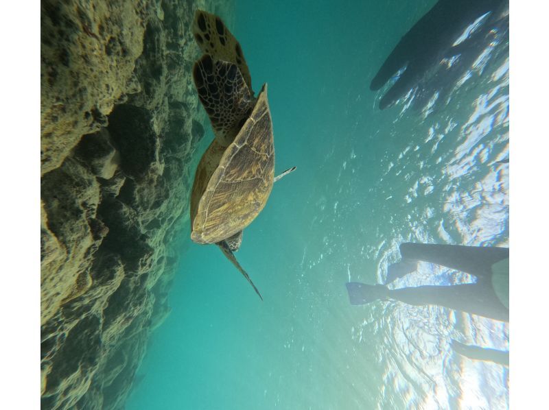 Same-day reservations OK1 Okinawa Onna Village Sea Turtle Snorkeling Tour Free GoPro Photography Brother Lau's Shopの紹介画像