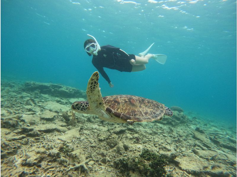 当日予約ok1 沖縄恩納村　ウミガメサーチスノーケルツアーたっぷり100分！4月から開催　GOPRO撮影無料　ラウ兄のお店　の紹介画像