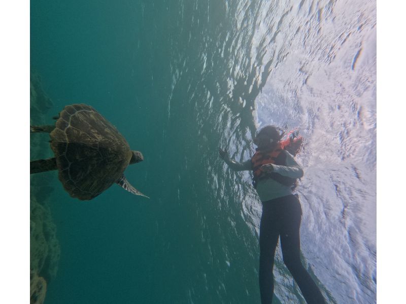 Same-day reservations OK1 Okinawa Onna Village Sea Turtle Search Snorkel Tour 100 minutes! Also held in November GoPro photography free Brother Lau's shopの紹介画像