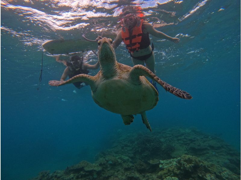 Same-day reservations OK1 Okinawa Onna Village Sea Turtle Search Snorkel Tour 100 minutes! Also held in November GoPro photography free Brother Lau's shopの紹介画像