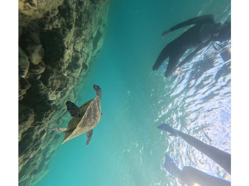 当日予約ok1 沖縄恩納村　ウミガメサーチスノーケルツアーたっぷり100分！4月から開催　GOPRO撮影無料　ラウ兄のお店　の紹介画像