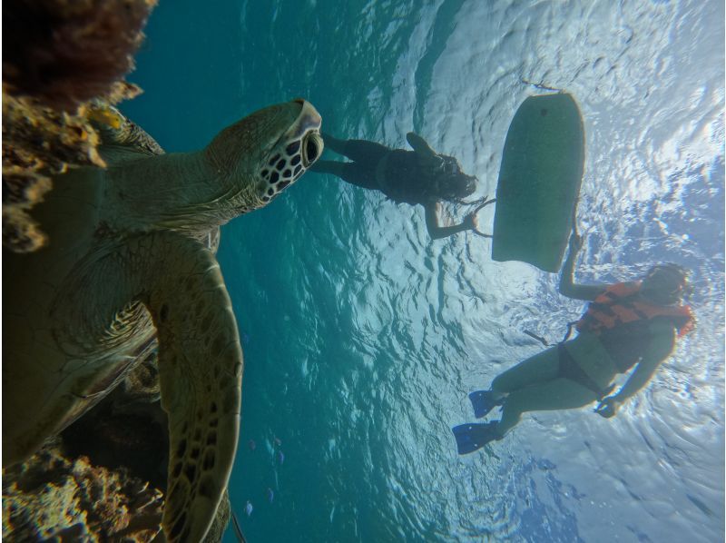 Same-day reservations OK1 Okinawa Onna Village Sea Turtle Search Snorkel Tour 100 minutes! Also held in November GoPro photography free Brother Lau's shopの紹介画像