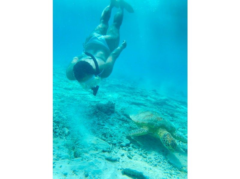 Same-day reservations OK1 Okinawa Onna Village Sea Turtle Snorkeling Tour Free GoPro Photography Brother Lau's Shopの紹介画像