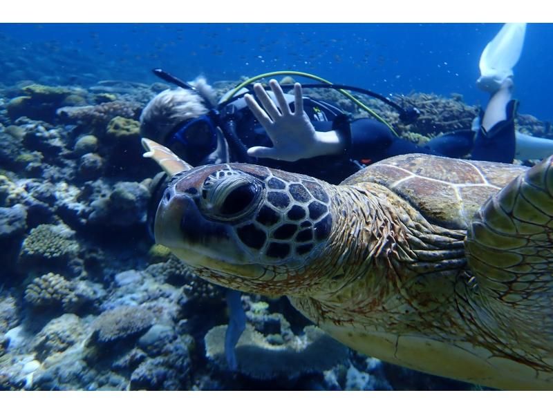 沖繩恩納村海龜浮潛之旅 免費GOPRO拍攝 劉哥的商店の紹介画像