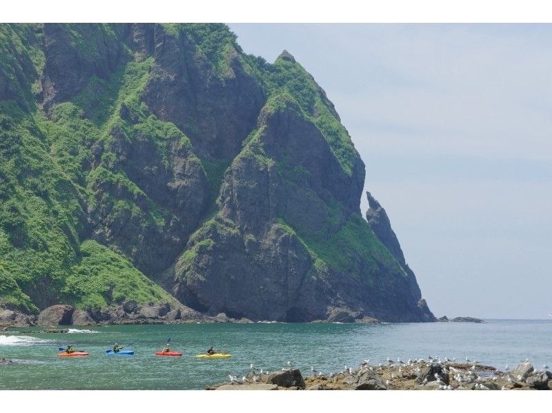 [北海道·二世谷】第一次海上皮艇游览（在积丹蓝色的海中擦洗，去洞穴探险！）の紹介画像