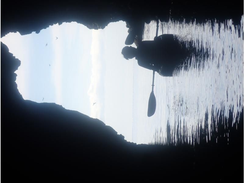 [北海道·二世谷】第一次海上皮艇游览（在积丹蓝色的海中擦洗，去洞穴探险！）の紹介画像