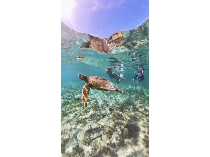 [Okinawa, Miyakojima] Enjoy the sea and land! Custom-made one-day tour/private tour for one groupの紹介画像