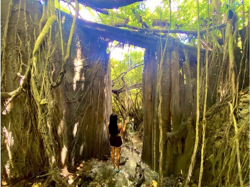[Okinawa, Miyakojima] Enjoy the sea and land! Custom-made one-day tour/private tour for one groupの紹介画像