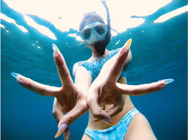 無人島（チービシ諸島）にてシュノーケル&スキンダイビングの紹介画像