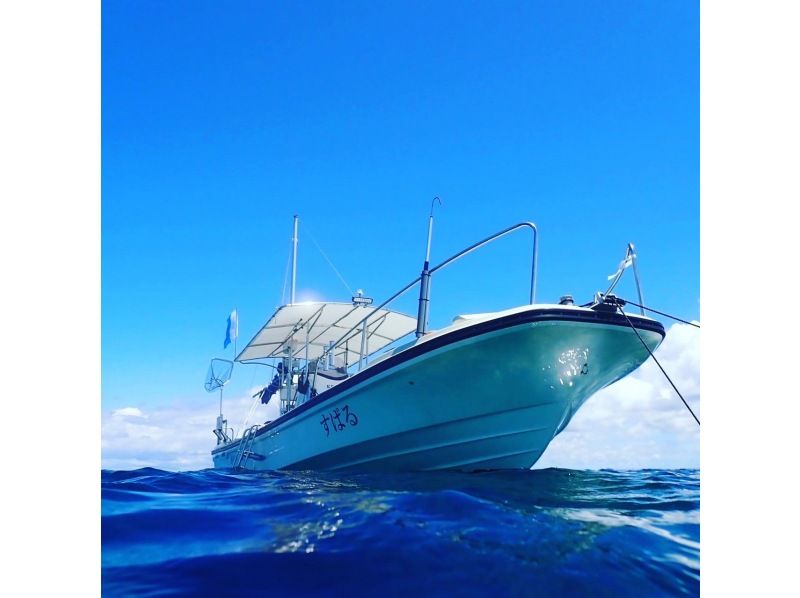 無人島（チービシ諸島）にてシュノーケル&スキンダイビングの紹介画像