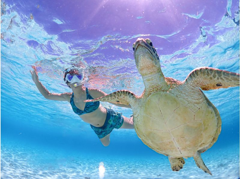 《宮古島》ライフジャケット不要！ウミガメに大接近！初心者でも始められるスキンダイビング体験！当日予約・早期予約OK！の紹介画像