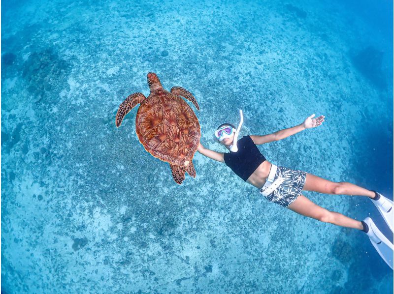 《宮古島》ライフジャケット不要！ウミガメに大接近！初心者でも始められるスキンダイビング体験！当日予約・早期予約OK！の紹介画像