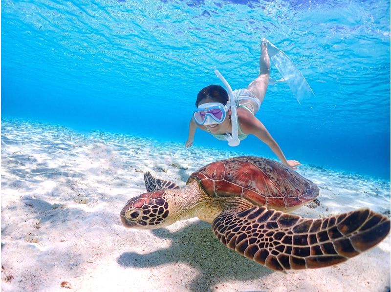 《宮古島｜送迎可能》ライフジャケット不要！ウミガメに大接近！初心者でも始められるスキンダイビング体験！当日予約・早期予約OK！の紹介画像