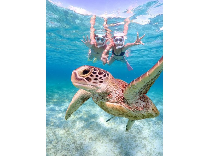 《宮古島｜送迎可能》ライフジャケット不要！ウミガメに大接近！初心者でも始められるスキンダイビング体験！当日予約・早期予約OK！の紹介画像