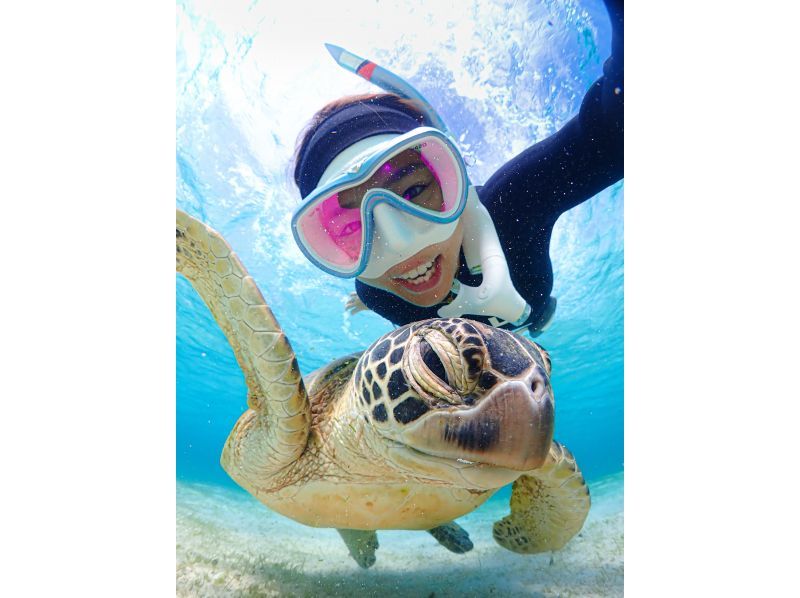 《宮古島》ライフジャケット不要！ウミガメに大接近！初心者でも始められるスキンダイビング体験！当日予約・早期予約OK！の紹介画像