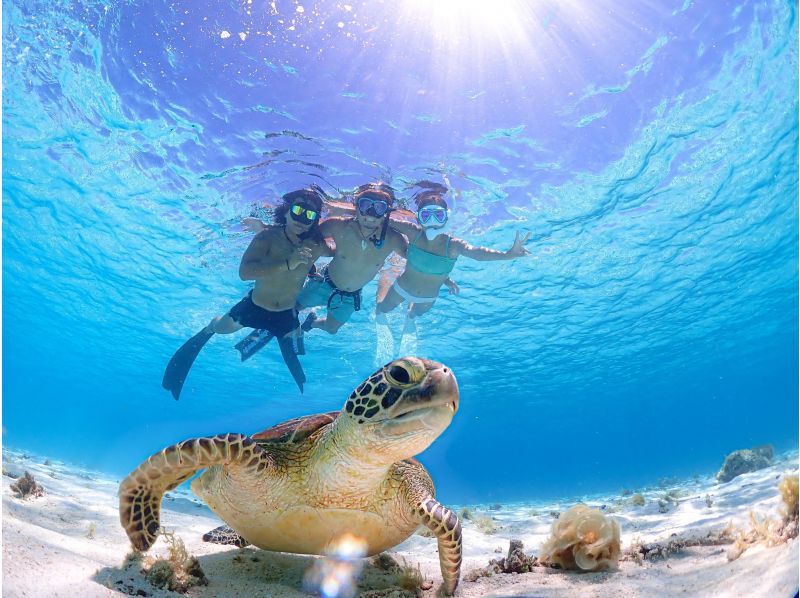 《宮古島｜送迎可能》ライフジャケット不要！ウミガメに大接近！初心者でも始められるスキンダイビング体験！当日予約・早期予約OK！の紹介画像