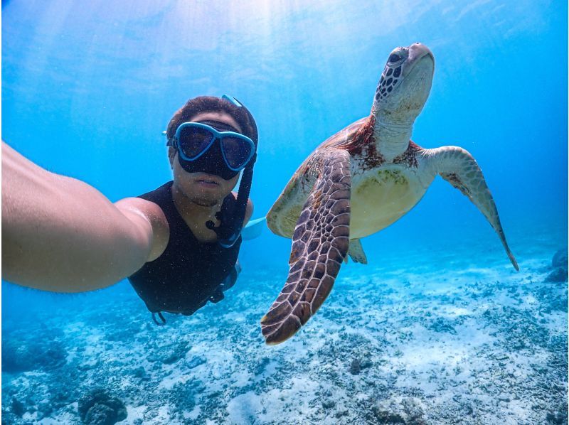 《宮古島》ライフジャケット不要！ウミガメに大接近！初心者でも始められるスキンダイビング体験！当日予約・早期予約OK！の紹介画像