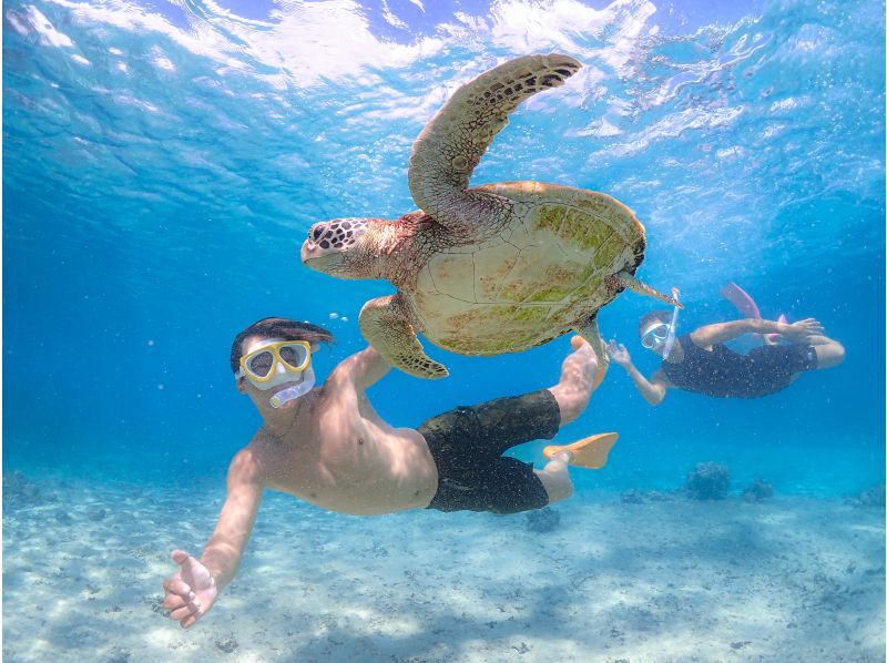 《宮古島》ライフジャケット不要！ウミガメに大接近！初心者でも始められるスキンダイビング体験！当日予約・早期予約OK！の紹介画像