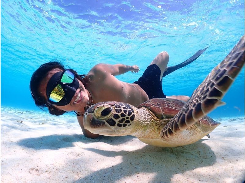 《宮古島｜送迎可能》ライフジャケット不要！ウミガメに大接近！初心者でも始められるスキンダイビング体験！当日予約・早期予約OK！の紹介画像