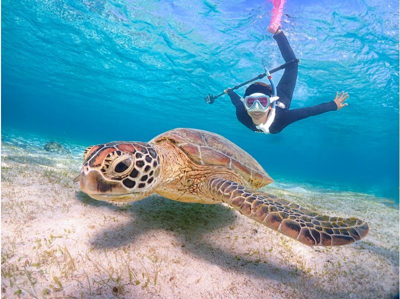 《宮古島》ライフジャケット不要！ウミガメに大接近！初心者でも始められるスキンダイビング体験！当日予約・早期予約OK！の紹介画像