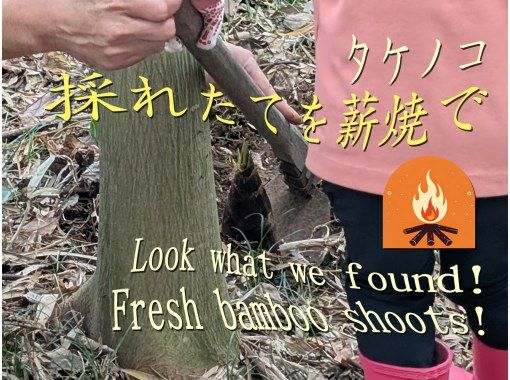 【千葉・九十九里】掘りたてタケノコをその場で薪焼!「Farm to Kamado」収穫体験&竈ご飯ランチツアー|日帰り 【千葉・九十九里】掘りたてタケノコをその場で薪焼!「Farm to Kamado」収穫体験&竈ご飯ランチツアー|日帰り