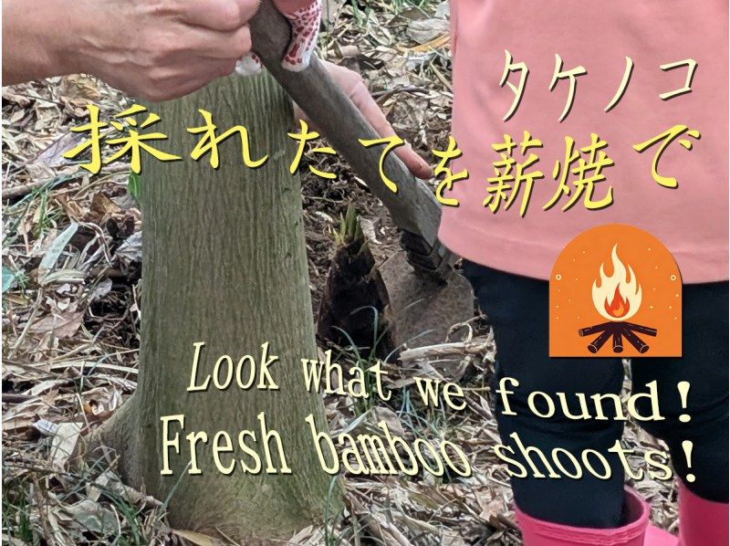 【千葉・九十九里】掘りたてタケノコをその場で薪焼！「Farm to Kamado」収穫体験＆竈ご飯ランチツアー｜日帰り の紹介画像