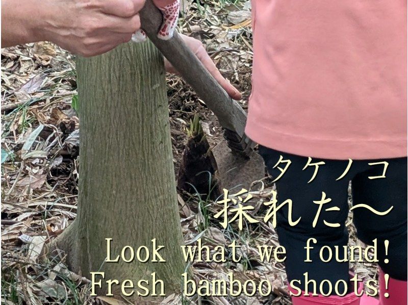 [คุจูคุริ, ชิบะ] เพลิดเพลินกับ "ข้าวปั้นที่ดีที่สุดในโลก" แบบทานไม่อั้น ที่ปรุงด้วยเตาญี่ปุ่นแบบดั้งเดิม และสัมผัสประสบการณ์การเก็บเกี่ยวตามฤดูกาล! (สถานที่) ทัวร์ศึกษาเรื่องอาหารและรับประทานอาหารกลางวันในชนบทที่เหมาะสำหรับครอบครัว (จัดขึ้นตั้งแต่เดือนเมษายนถึงกรกฎาคม)の紹介画像