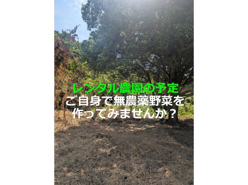 【지바·구주쿠리】농원 만들기를 함께 체험하지 않겠습니까? 충생의 밥솥 기저귀 점심과 밀키 퀸 신쌀 1Kg의 기념품 첨부! 도쿄에서 1시간 반の紹介画像