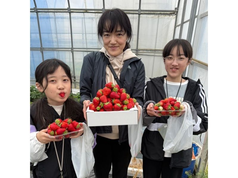 [คุจูคุริ, ชิบะ] เพลิดเพลินกับ "ข้าวปั้นที่ดีที่สุดในโลก" แบบทานไม่อั้น ที่ปรุงด้วยเตาญี่ปุ่นแบบดั้งเดิม และสัมผัสประสบการณ์การเก็บเกี่ยวตามฤดูกาล! (สถานที่) ทัวร์ศึกษาเรื่องอาหารและรับประทานอาหารกลางวันในชนบทที่เหมาะสำหรับครอบครัว (จัดขึ้นตั้งแต่เดือนเมษายนถึงกรกฎาคม)の紹介画像