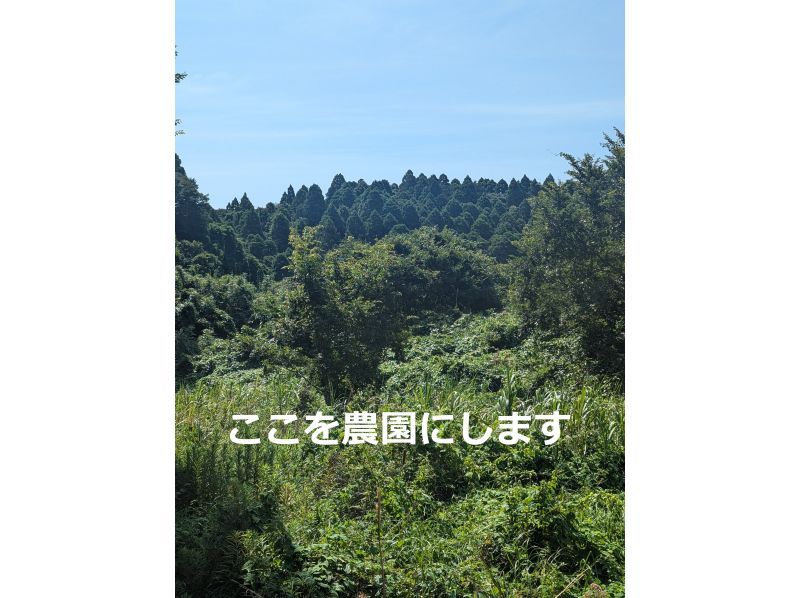 【지바·구주쿠리】농원 만들기를 함께 체험하지 않겠습니까? 충생의 밥솥 기저귀 점심과 밀키 퀸 신쌀 1Kg의 기념품 첨부! 도쿄에서 1시간 반の紹介画像