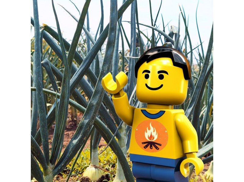 [คุจูคุริ, ชิบะ] เพลิดเพลินกับ "ข้าวปั้นที่ดีที่สุดในโลก" แบบทานไม่อั้น ที่ปรุงด้วยเตาญี่ปุ่นแบบดั้งเดิม และสัมผัสประสบการณ์การเก็บเกี่ยวตามฤดูกาล! (สถานที่) ทัวร์ศึกษาเรื่องอาหารและรับประทานอาหารกลางวันในชนบทที่เหมาะสำหรับครอบครัว (จัดขึ้นตั้งแต่เดือนเมษายนถึงกรกฎาคม)の紹介画像