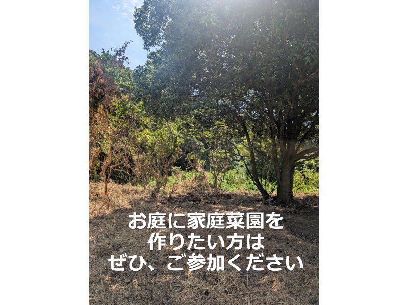 【지바·구주쿠리】농원 만들기를 함께 체험하지 않겠습니까? 충생의 밥솥 기저귀 점심과 밀키 퀸 신쌀 1Kg의 기념품 첨부! 도쿄에서 1시간 반の紹介画像
