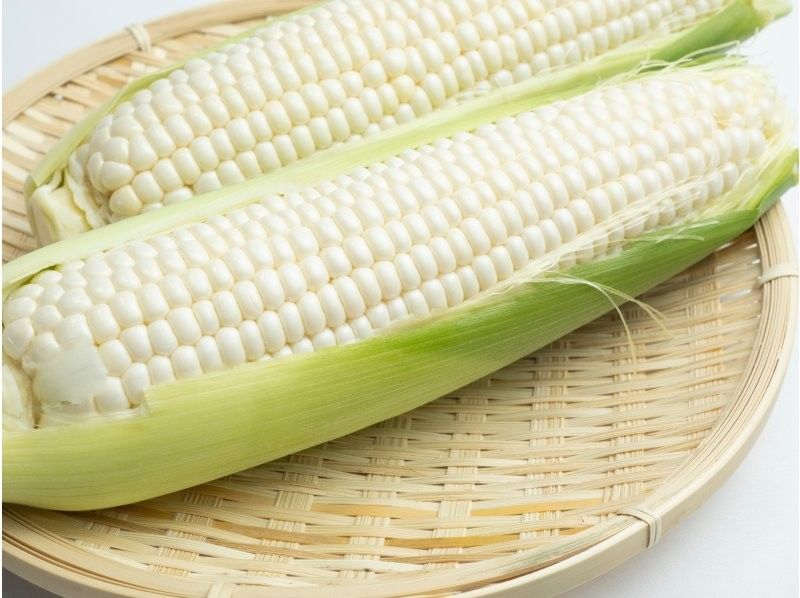 [คุจูคุริ, ชิบะ] เพลิดเพลินกับ "ข้าวปั้นที่ดีที่สุดในโลก" แบบทานไม่อั้น ที่ปรุงด้วยเตาญี่ปุ่นแบบดั้งเดิม และสัมผัสประสบการณ์การเก็บเกี่ยวตามฤดูกาล! (สถานที่) ทัวร์ศึกษาเรื่องอาหารและรับประทานอาหารกลางวันในชนบทที่เหมาะสำหรับครอบครัว (จัดขึ้นตั้งแต่เดือนเมษายนถึงกรกฎาคม)の紹介画像