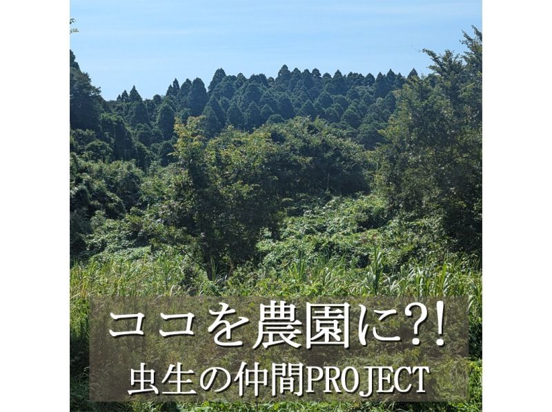 【千葉縣九十九里町】成人可享用蟲尾飯糰和農耕體驗。附贈新收米紀念品。體驗開荒。歡迎全天參與。距離市中心90分鐘。の紹介画像