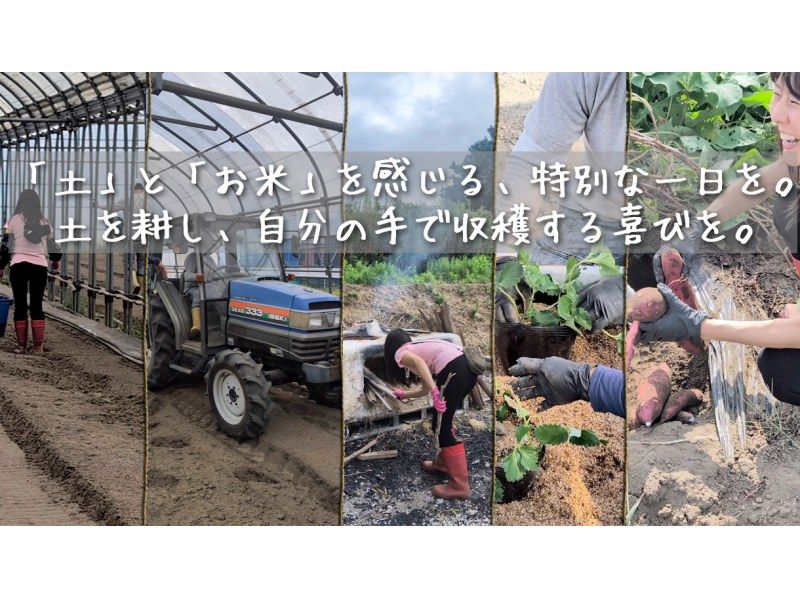 [คุจูคุริ, ชิบะ] เพลิดเพลินกับ "ข้าวปั้นที่ดีที่สุดในโลก" แบบทานไม่อั้น ที่ปรุงด้วยเตาญี่ปุ่นแบบดั้งเดิม และสัมผัสประสบการณ์การเก็บเกี่ยวตามฤดูกาล! (สถานที่) ทัวร์ศึกษาเรื่องอาหารและรับประทานอาหารกลางวันในชนบทที่เหมาะสำหรับครอบครัว (จัดขึ้นตั้งแต่เดือนเมษายนถึงกรกฎาคม)の紹介画像