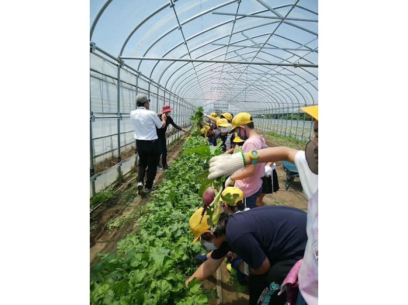 【千葉・九十九里】農園つくりを一緒に体験しませんか？虫生の竈炊きおむすびランチとミルキークィーン新米1Kgのお土産付！東京から1時間半の紹介画像