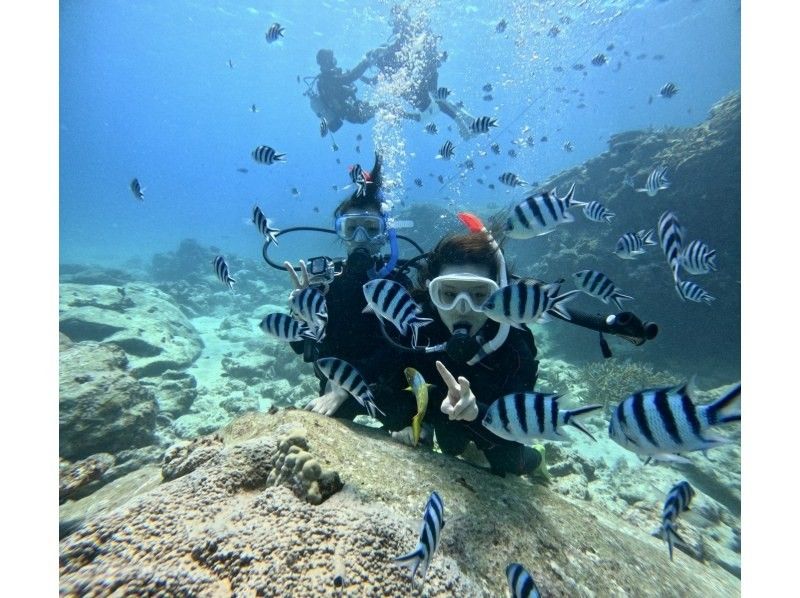 [Okinawa, Naha departure, 1 dive] Visit 2-3 spots! Kerama Islands boat experience diving & snorkeling ☆No license required, underwater photos as a gift☆の紹介画像