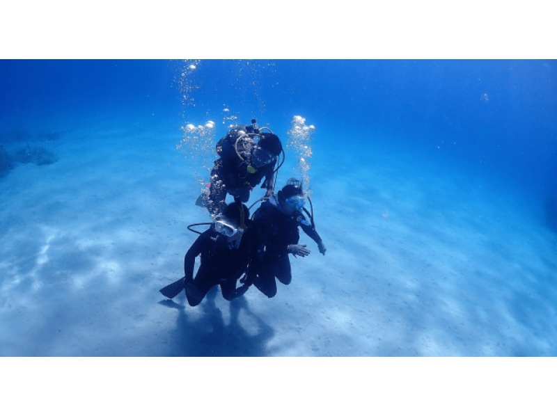 [Okinawa, Naha departure, 1 dive] Visit 2-3 spots! Kerama Islands boat experience diving & snorkeling ☆No license required, underwater photos as a gift☆の紹介画像
