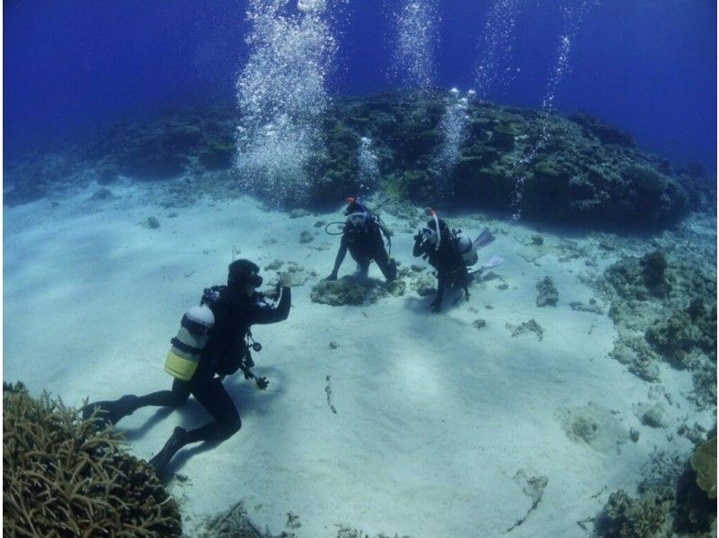 [Okinawa, Naha departure, 1 dive] Visit 2-3 spots! Kerama Islands boat experience diving & snorkeling ☆No license required, underwater photos as a gift☆の紹介画像