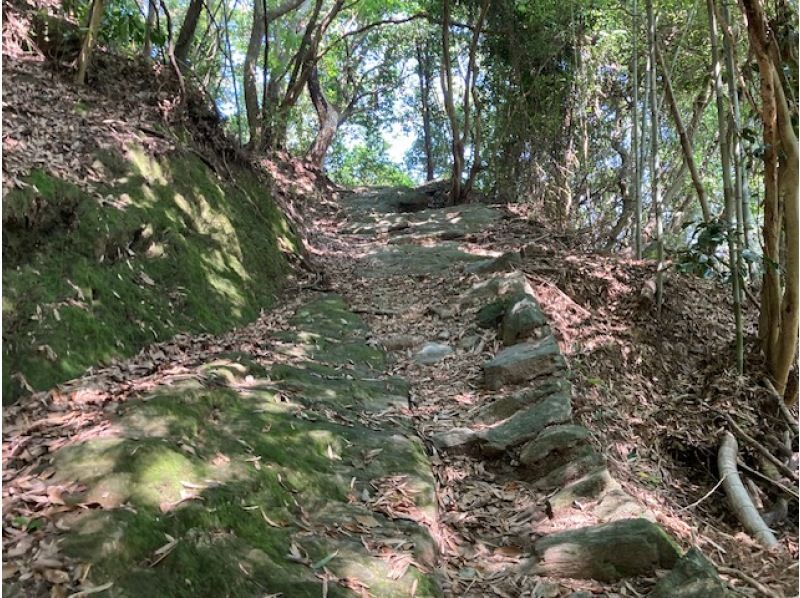 日本遺産　熊野古道紀伊路　藤白坂を歩く　ベテランガイド同行の紹介画像