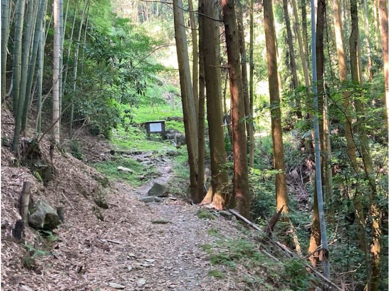 日本遺産　熊野古道紀伊路　藤白坂を歩く　ベテランガイド同行の紹介画像
