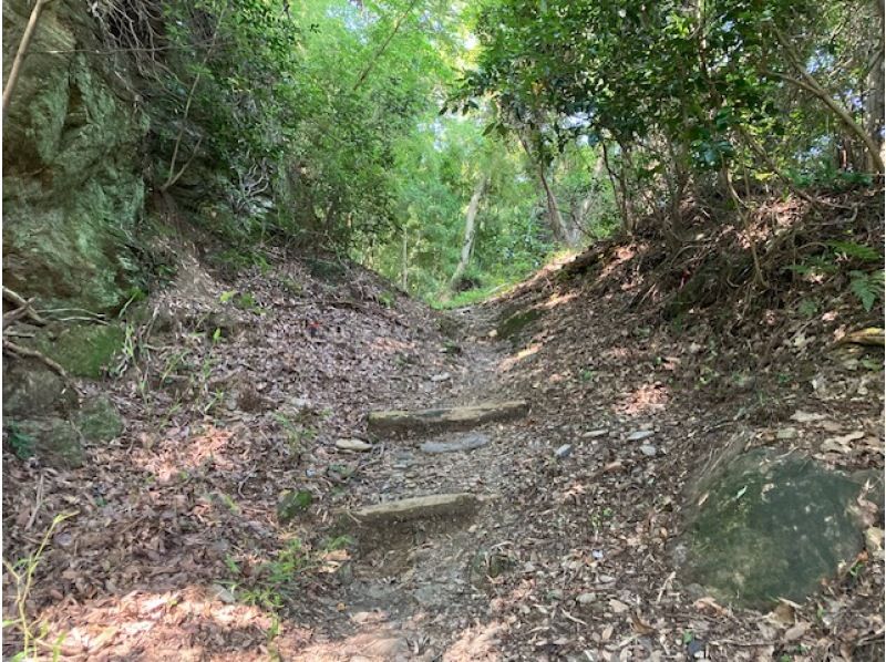 日本遺産　熊野古道紀伊路　藤白坂を歩く　ベテランガイド同行の紹介画像
