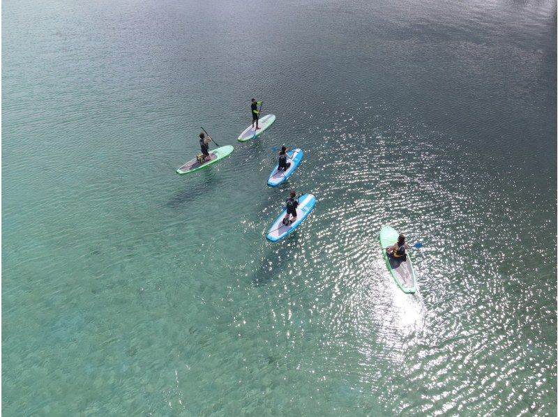 奄美大島【当日予約可能】SUP+シュノーケル+マングローブカヌー（180分）【お得なセットプラン】★ドローン空撮等写真のプレゼントあり★の紹介画像