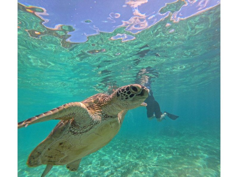 奄美大島【当日予約可能】SUP+シュノーケル+マングローブカヌー（180分）【お得なセットプラン】★ドローン空撮等写真のプレゼントあり★の紹介画像