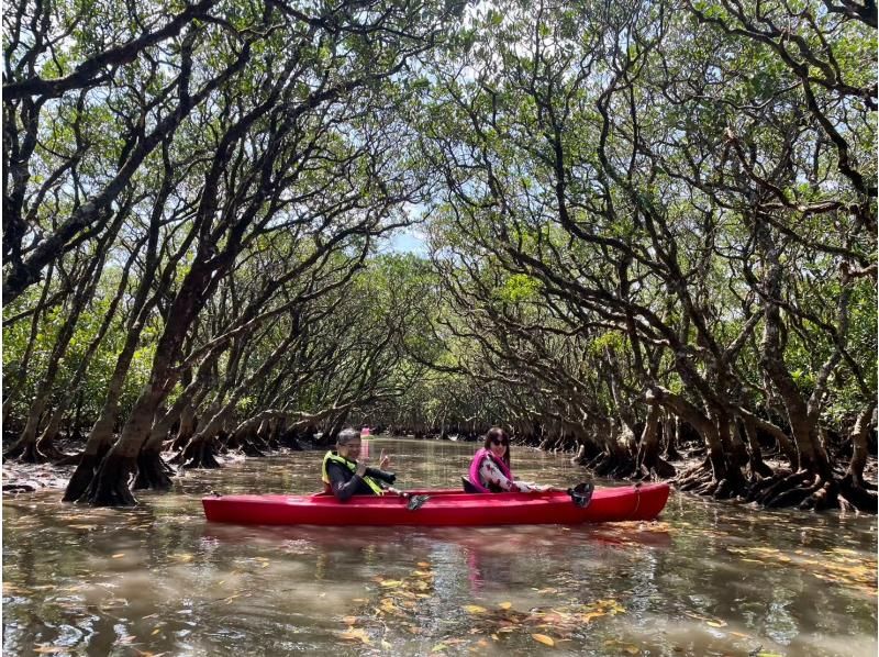 奄美大島【当日予約可能】SUP+シュノーケル+マングローブカヌー（180分）【お得なセットプラン】★ドローン空撮等写真のプレゼントあり★の紹介画像
