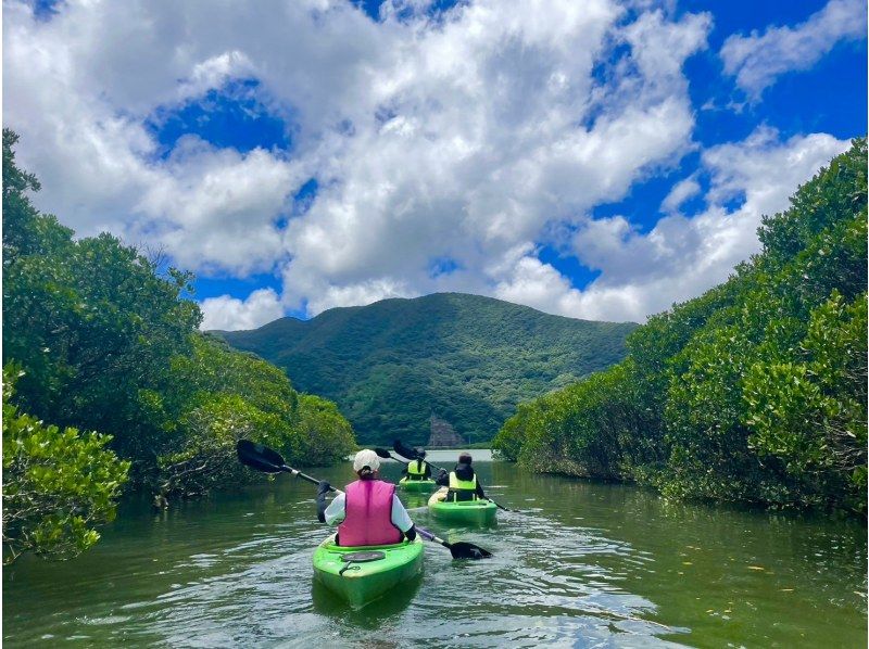 奄美大島【当日予約可能】SUP+シュノーケル+マングローブカヌー（180分）【お得なセットプラン】★ドローン空撮等写真のプレゼントあり★の紹介画像