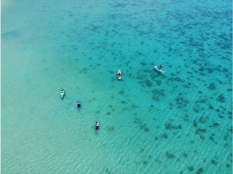 奄美大島【当日予約可能】SUP+シュノーケル+マングローブカヌー(180分)【お得なセットプラン】★ドローン空撮等写真のプレゼントあり★の紹介画像