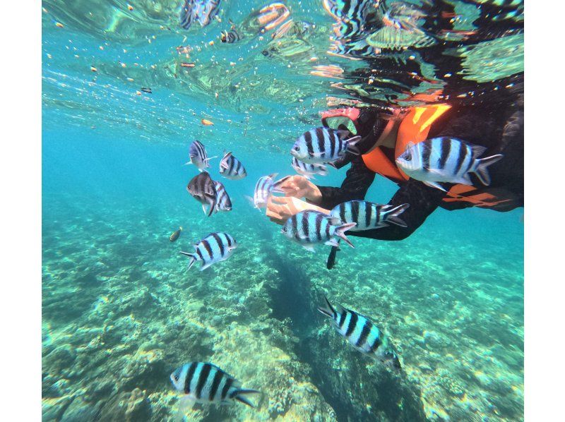 Same-day reservations accepted! Meeting at 5pm on the beach, Blue Cave Snorkeling [Okinawa, Onna Village]. 50 free GoPro photos. Brother Lau's shop!の紹介画像