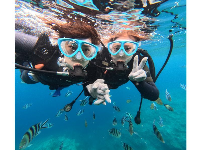 Same-day reservations accepted! Meeting at 5pm on the beach, Blue Cave Snorkeling [Okinawa, Onna Village]. 50 free GoPro photos. Brother Lau's shop!の紹介画像